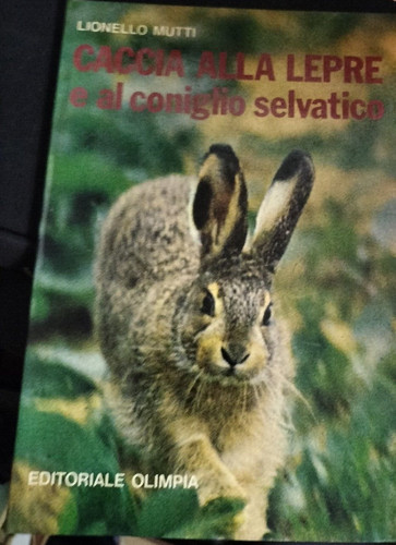 Caccia alla lepre al - lepre,