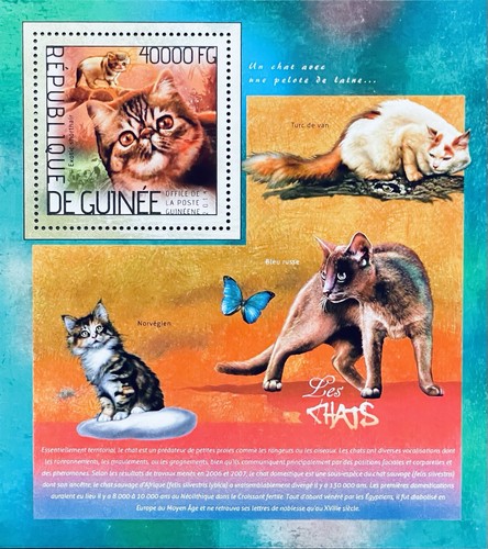 Foglio francobolli gatti cavia - francobolli,