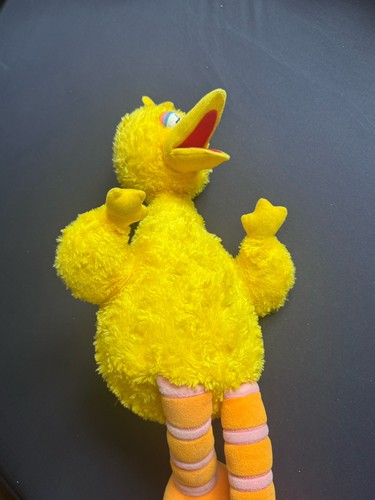 Big bird kaws - bird,