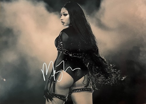 Megan thee stallion foto - megan,