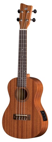 Ukulele concert - -,