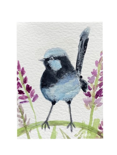 Aceo kenna blue fairy wren - by,
