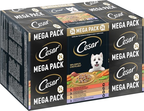 Cesar cibo umido per cani - cesar,