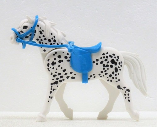 Cavallo bianco nero muffa - cavallo,