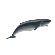 CollezionaUna replica