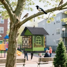 Mangiatoia per uccelli da