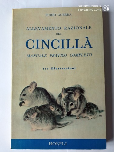 Cincilla furio guerra - furio,