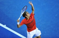 Roger federer rare polo shirt - roger,