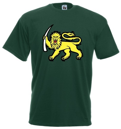 Maglia rhodesia army j595 - rhodesia,