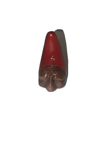 Corno con faccia pulcinella - faccia,
