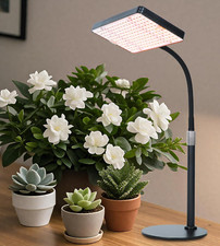 FRGROW Lampada per piante LED
