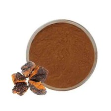 Estratto di Funghi Chaga in
