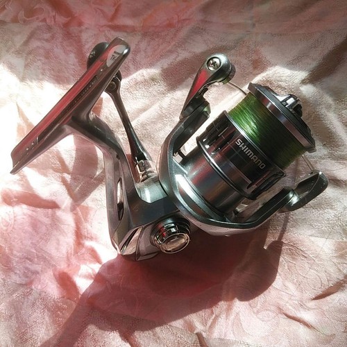 Shimano spinning reel naski - reel, 21