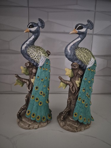 Coppia statue pavone - , in