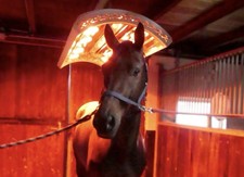 Solarium per cavalli con