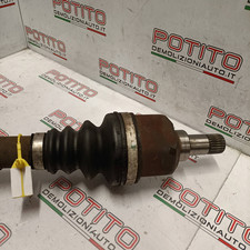 9677476580 Semialbero ant