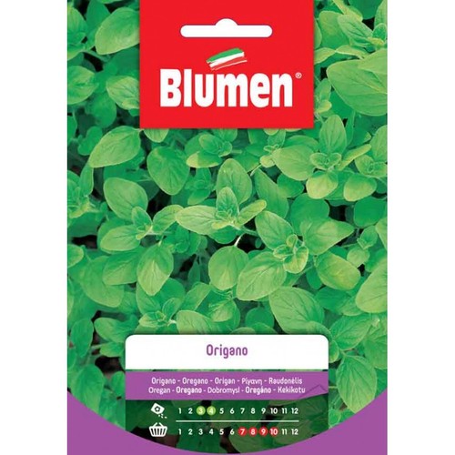 Blumen semi origano - semi, di