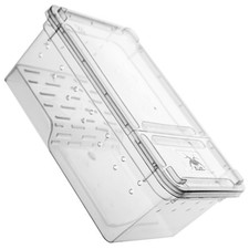  Vasche Per Tartaruga Vasca