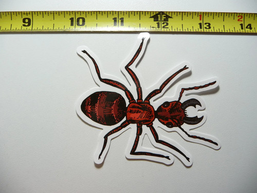 Ant piccolo adesivo - ant, #4