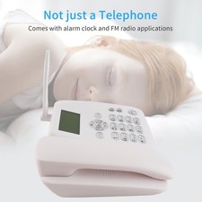 F317 GSM 2G telefono fisso