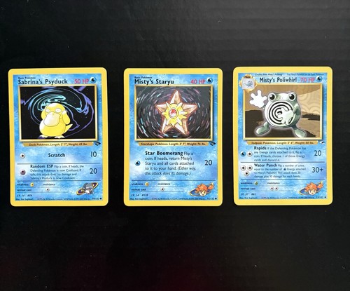 Pokémon eroi della palestra - della,