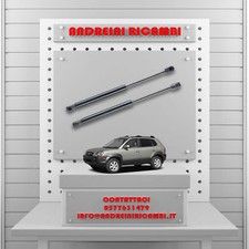 2 MOLLE A GAS BAGAGLIAIO