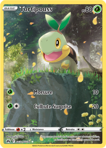 Carte pokémon tortipouss - carte,