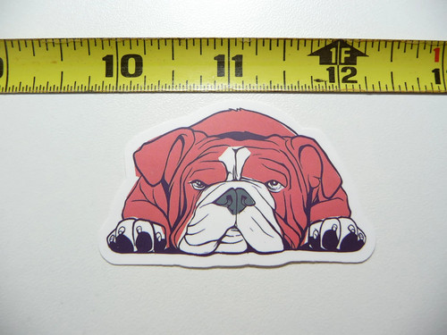 Adesivo bulldog sdraiato - bulldog,