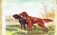 Acquarello Originale Cani