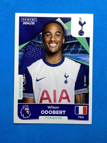 Panini sticker premier league - premier,