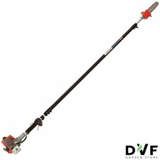 Potatore a scoppio telescopico