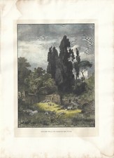 Stampa antica TIVOLI Villa di
