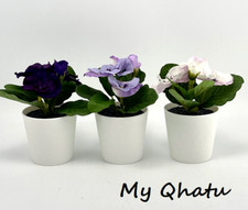 Ikea Fejka pianta artificiale