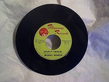 MICHAEL BRANDON-Drinking Up