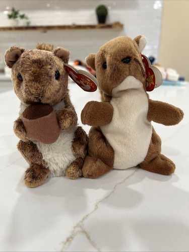 Beanie baby lotto 2 - beanie,
