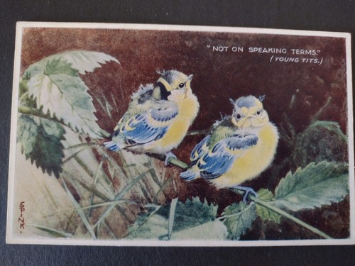 Bird postcard not - postcard,, on