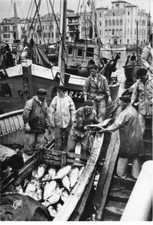 64 San Jean De Luz Am #DC814