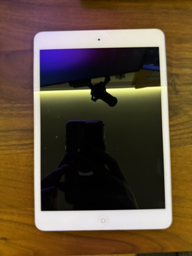 Apple ipad mini - ipad, 2