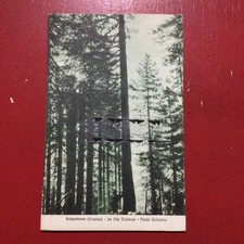 Longobucco,La Sila Illustrata,Pineta Gallopano,viaggiata,animata,M489