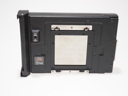Zenza bronica dorso - sq-a,
