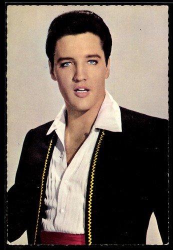 Attore musicista elvis - e,