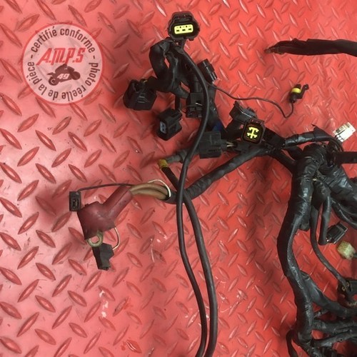 Faisceau électrique
