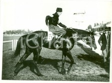 1933 MILANO SAN SIRO Cavallo MARTE torna al peso Premio Giovani Fascisti *FOTO