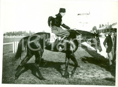 1933 milano san siro cavallo - 1933,