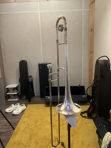 King silversonic anni - king, 3b