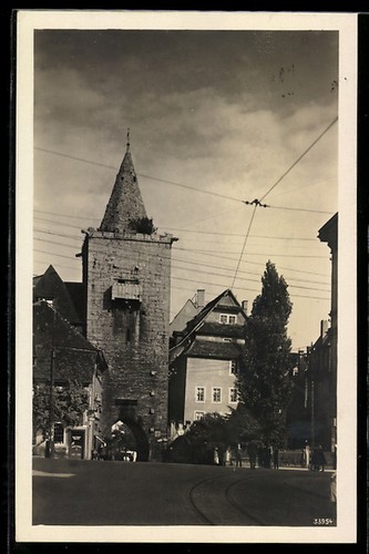 Cartolina fotografica jena - cartolina,