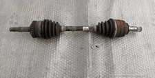 90540552 Semialbero ant
