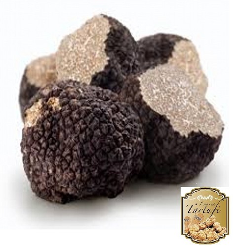 Tartufo fresco nero estivo - tartufo,