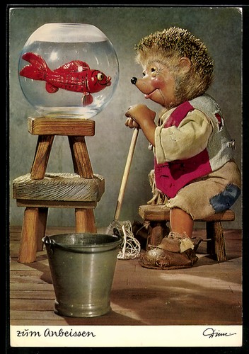 Mecki osserva pesce rosso - mecki,