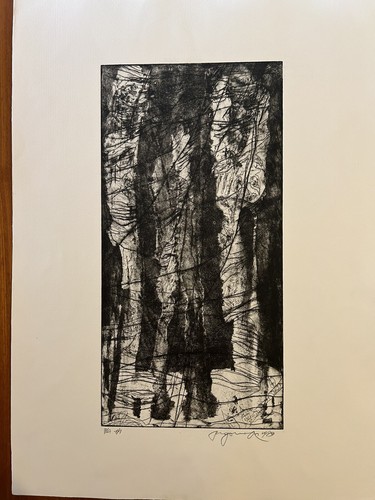 Ugo maffi 1989 - maffi, 1989-